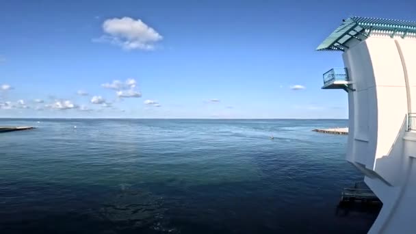 보물섬 보물섬 조류에 그립니다 — 비디오