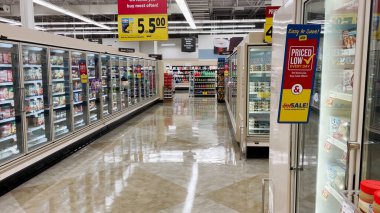 Grovetown, Ga USA - 10: 30 2021: Yiyecek Aslanı marketi Donmuş Gıda Bölümü tabelaları ve parlak yerler