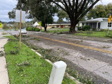 Lakeland, Fla USA 10 11: 24 Milton Kasırgası hasarı ve dağınık yeşillik yolu