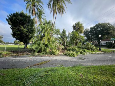 Lakeland, Fla USA 10 11: 24 Milton Kasırgası hasarı ve dağınık yeşillikler