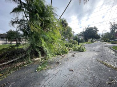 Lakeland, Fla USA 10 11: 24 Milton Kasırgası hasarı ve saçılmış yapraklar