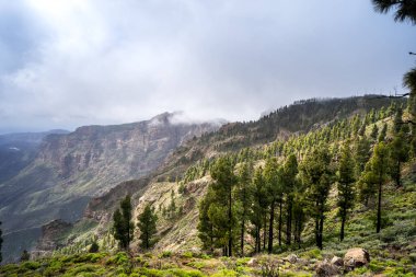 Gran Canaria 'nın tepesinde. Kanarya adaları