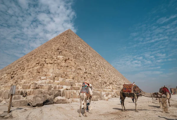 Keops Pyramid Landscape Camels Cairo Egypt — Stock Photo, Image