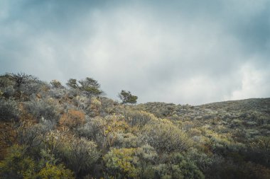 El Sabinal 'daki çölsel ve volkanik manzaralar. El Hierro adası. Kanarya adaları. İspanya
