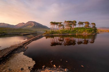 Manzara. Günbatımında Derryclare Lough 'dan Connemara Ulusal Parkı' na. Galway. İrlanda