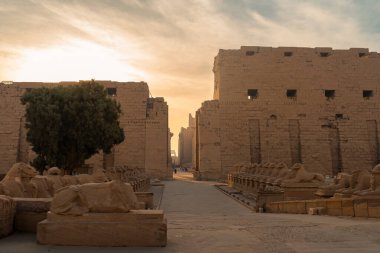 Gün doğumunda Karnak tapınağında. Şatafatlı. Mısır