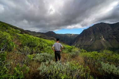 Young man contemplates the landscape. Agaete Valley. Gran Canaria. Canary Islands clipart