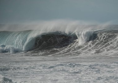  San Felipe sahilinde büyük dalgalar. Moya. Büyük Kanarya. Kanarya adaları. İspanya