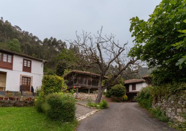 Cuevas kasabasında Asturian horreo (gıda koruma inşaatı). Ribadesella. Asturyalar