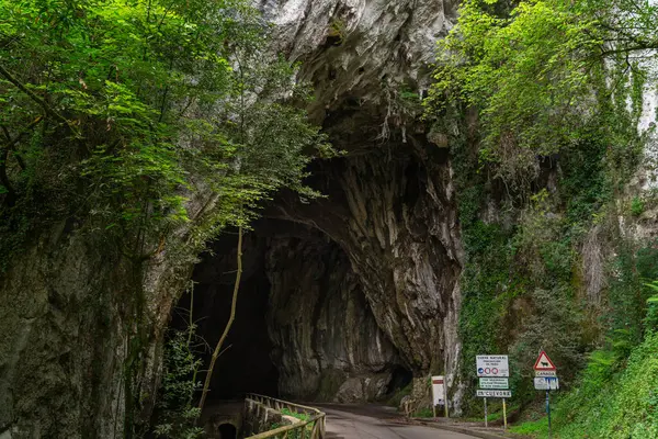 クエヴォナ洞窟への入口 クエヴァス リベデラ アストゥリアス ストック画像