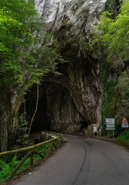 クエヴォナ洞窟への入口 クエヴァス リベデラ アストゥリアス ストック画像