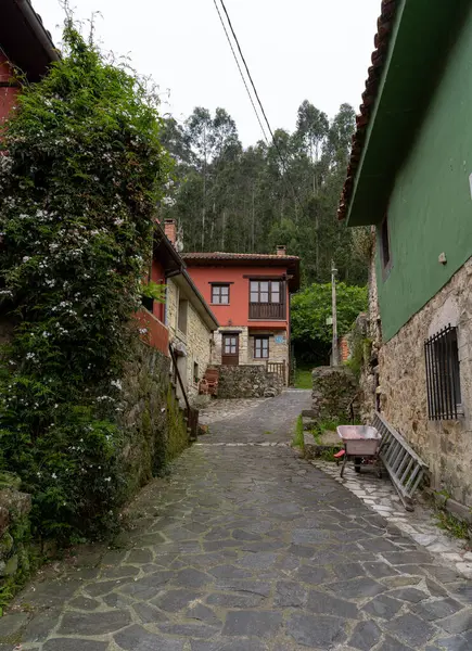 Město Cuevas Ribadesella Asturie Svislé Složení Stock Snímky