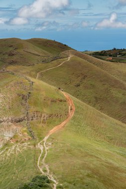 Mavi gökyüzü olan Lomo del Palo manzarası. Monte Pavon. Galdar. Büyük Kanarya. Kanarya adaları