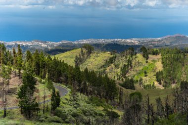 Mavi gökyüzü olan Lomo del Palo manzarası. Monte Pavon. Galdar. Büyük Kanarya. Kanarya adaları