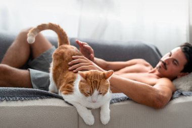 Kanepedeki genç adam kahverengi ve beyaz bir kediyle etkileşime geçiyor.