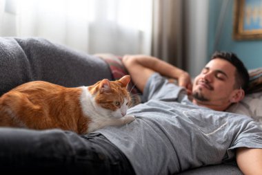  Kanepede uzanmış genç bir adam kahverengi bir evcil kediyle etkileşim halindedir.