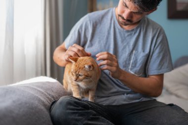 Genç adam evcil kediyle oturma odasında iletişim kuruyor.