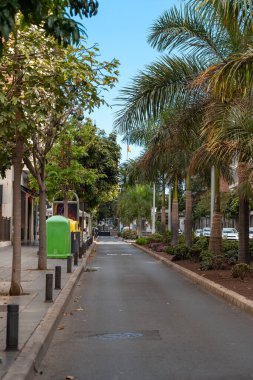 Şehir manzarası. Las Palmas de Gran Kanarya Merkezi sokağı. Büyük Kanarya. Kanarya adaları. İspanya