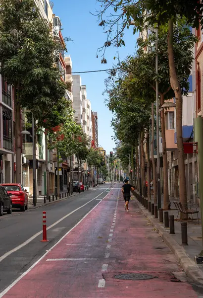 Şehir manzarası. Las Palmas de Gran Kanarya Merkezi sokağı. Büyük Kanarya. Kanarya adaları. İspanya