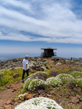 Güneşli bir günde Gran Canaria Adası 'nın tepesinde yürüyüş yapan genç bir adam. Kanarya adaları. İspanya