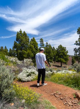 Güneşli bir günde Gran Canaria Adası 'nın tepesinde yürüyüş yapan genç bir adam. Kanarya adaları. İspanya