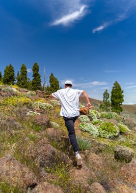 Güneşli bir günde Gran Canaria Adası 'nın tepesinde yürüyüş yapan genç bir adam. Kanarya adaları. İspanya