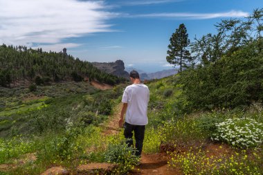 Güneşli bir günde Gran Canaria Adası 'nın tepesinde yürüyüş yapan genç bir adam. Kanarya adaları. İspanya