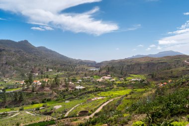 Gran Canaria 'nın tepesinde. Cercados de Araa kasabası. İspanya Kanarya Adaları.