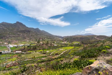Gran Canaria 'nın tepesinde. Cercados de Araa kasabası. İspanya Kanarya Adaları.