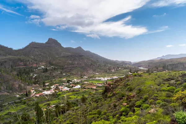 Gran Canaria 'nın tepesinde. Cercados de Araa kasabası. İspanya Kanarya Adaları.
