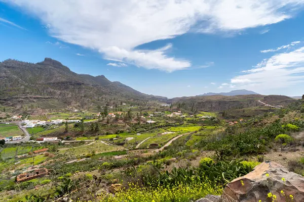 Gran Canaria 'nın tepesinde. Cercados de Araa kasabası. İspanya Kanarya Adaları.