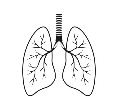 Beyaz arka planda siyah ve beyaz akciğer simgesi. Vektör illüstrasyonu