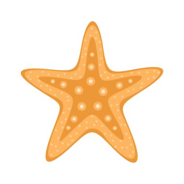 Beyaz arka planda izole edilmiş turuncu deniz yıldızı. Düz vektör illüstrasyonu