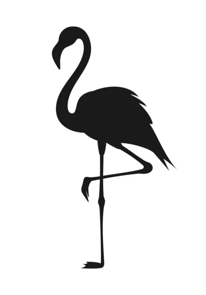 Черный Силуэт Фламинго Стоящий Одной Ноге Изолирован Белом Фоне Векторная — стоковый вектор