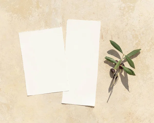 Bruiloft Blanco Papieren Kaarten Een Betonnen Tafel Versierd Met Olijftakken — Stockfoto