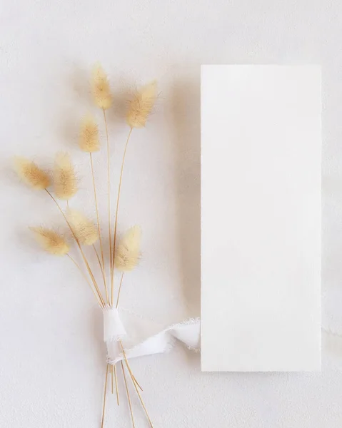 Чиста Картка Біля Шовкових Стрічок Сушені Хвостові Трави Зайця Білому — стокове фото