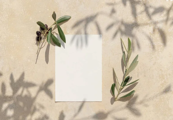Carta Carta Nuziale Bianco Tavolo Cemento Decorato Con Rami Ulivo — Foto Stock