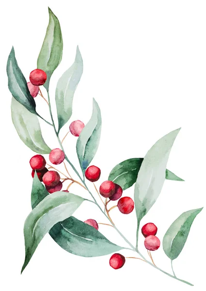 Χριστουγεννιάτικο Πολύχρωμο Κλαδί Ακουαρέλας Πράσινα Φύλλα Και Κόκκινα Μούρα Απομονωμένη — Φωτογραφία Αρχείου