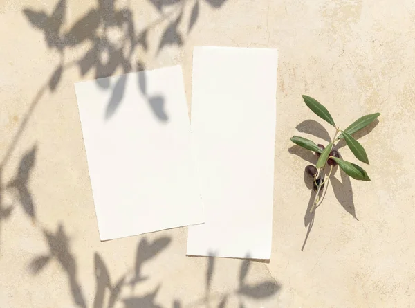 Свадебные Пустые Бумажные Карточки Бетонном Столе Украшены Оливковыми Ветвями Видом — стоковое фото