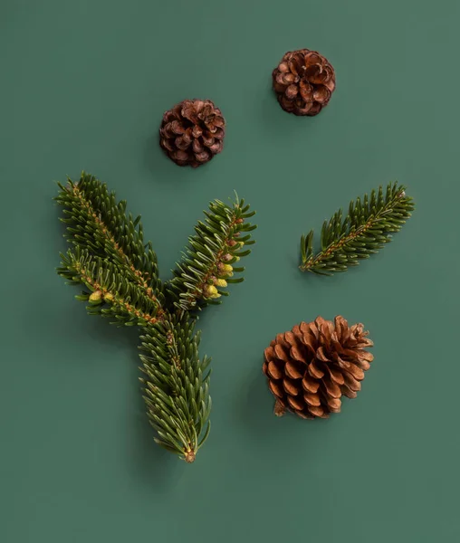冷杉枝条和松树在绿色上呈圆锥形 圣诞或新年假期冬季作文 — 图库照片