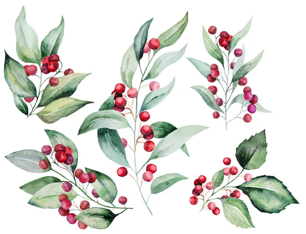 Χριστουγεννιάτικα Πολύχρωμα Κλαδιά Ακουαρέλας Πράσινα Φύλλα Και Κόκκινα Μούρα Απομονωμένη — Φωτογραφία Αρχείου