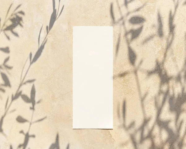 Pusta Kartka Papierowa Betonowym Stole Ozdobiona Gałązkami Oliwnymi Widokiem Góry — Zdjęcie stockowe