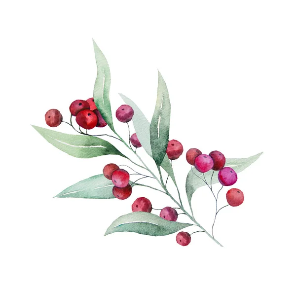 크리스마스의 색깔의 물푸레나무 과붉은 딸기가 핸드는 휴가철용 포스터등을 그렸다 — 스톡 사진