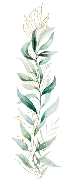 Bukiet Wykonany Zielonych Złotych Liści Eukaliptusa Akwarela Odosobniona Ilustracja Botaniczny — Zdjęcie stockowe