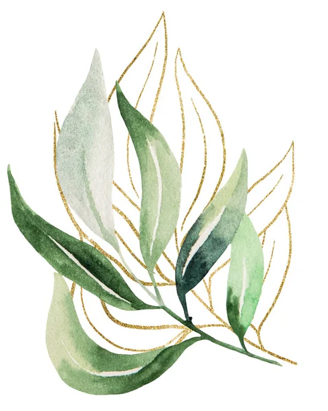 Green Golden Outlines Botanical Watercolor Leaves Illustration Isolated Single Elements — 스톡 사진