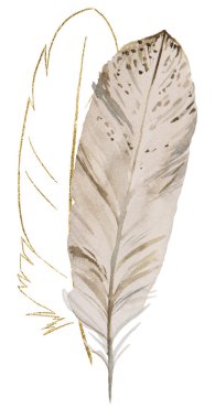 Suluboya bej ve altın rengi tüyler, Bohem çizimleri izole edilmiş. Boho, kabile veya etnik düğün kırtasiyesi, tebrik kartları, basım ve zanaat projeleri için tek renkli unsur