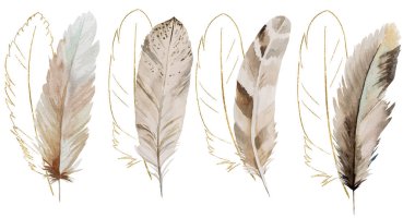 Suluboya bej ve altın rengi tüyler, Bohem çizimleri izole edilmiş. Boho, kabile veya etnik düğün kırtasiyesi, tebrik kartları, basım ve zanaat projeleri için tek renkli unsur