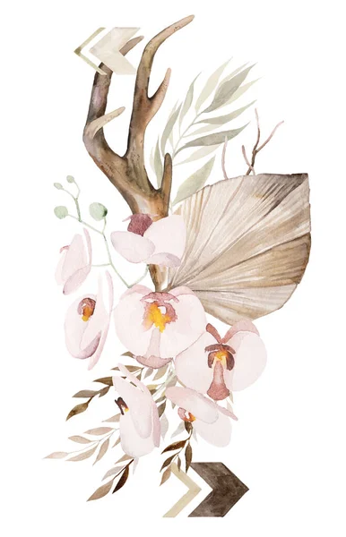 Watercolor Deer Antlers Tropical Bouquet Bohemian Isolated Illustration Beige Leaves — Zdjęcie stockowe