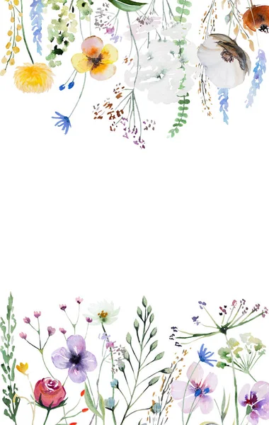 Renkli Suluboya Kır Çiçeklerinden Yapılmış Sınır Izole Edilmiş Yapraklar Yaz — Stok fotoğraf