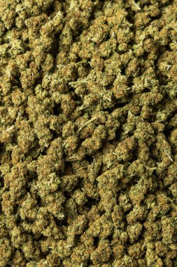 Marihuana tomurcukları ve cilt bakımı satışa hazır. Sağlık hizmetleri ve ilaç kullanımları için CBD ile yasal tıbbi esrar üretimi 
